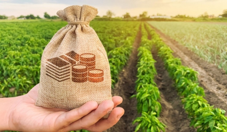Asociațiile agricole din Moldova vor putea primi granturi de până la 60 mii de euro