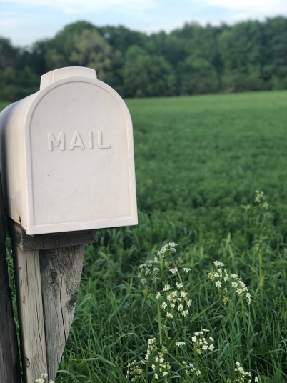 Tarifele pentru serviciile poștale Poșta Moldovei ar pute crește de la 1 aprilie 2022