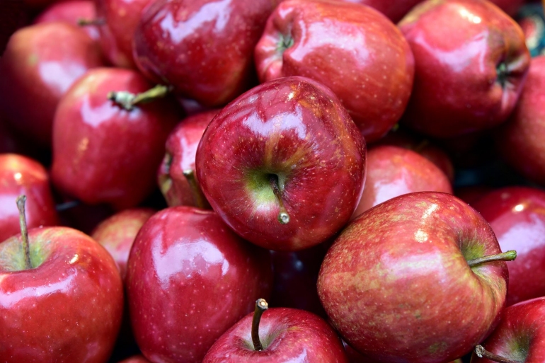 На грани отчаяния: У фермера из Флорешт в холодильнике осталось 80 тонн яблок