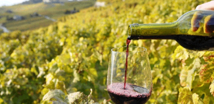 Произведенные в Республике Молдова вина экспортируются более чем в 70 стран