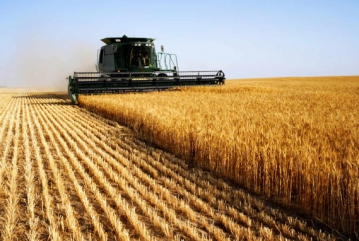 США в течение пяти лет инвестируют $50 млн в сельское хозяйство Молдовы 