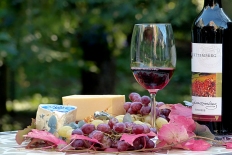 Экспорт винодельческой продукции Молдовы снизился на 26,3%