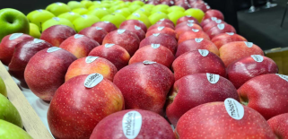 Партия молдавских яблок экспортирована в Швецию