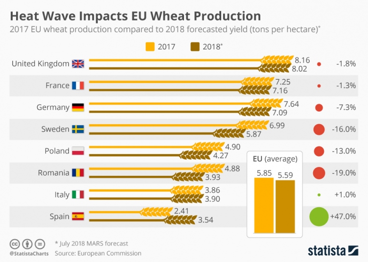 Воздействие тепловой волны на производство пшеницы в ЕС