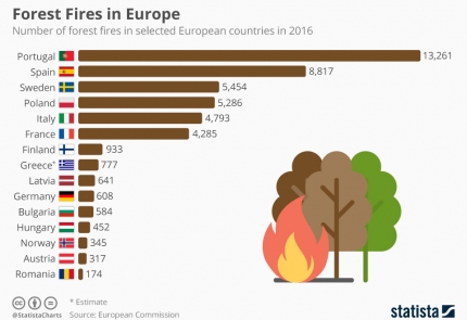 Лесные пожары в Европе