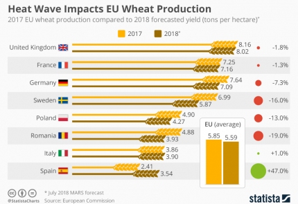 Воздействие тепловой волны на производство пшеницы в ЕС